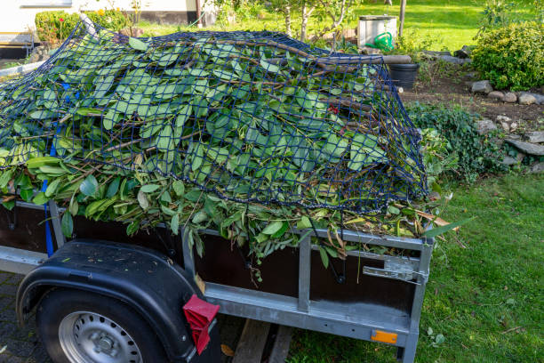 Best Recycling Services for Junk  in Pflugerville, TX